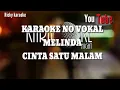 Download Lagu Melinda cinta satu malam karaoke no vokal