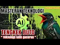 Download Lagu Masteran Tengkek Buto Versi AI | Suara Jernih Premium Untuk Murai Batu Juara #masteranmuraibatu