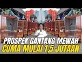 Download Lagu GEMPAR‼️ GALERY MURAI JAKARTA🔥 JUAL MURAI PROSPEK LOMBA \u0026 PRESTASI MULAI 1,5 JUTA‼️