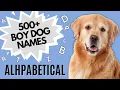 500 Male Dog Names for Every Letter of the Alphabet Alphabetical Male Dog Names