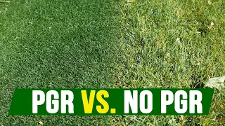 Why EVERYONE should use Plant Growth Regulator