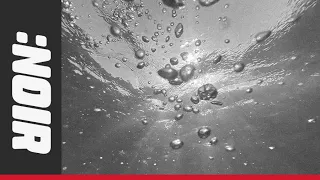 𝐍𝐎𝐈𝐑 Down To The Bottom Lyrics 