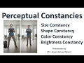 Perceptual Constancies and its types Size Shape Color and Brightness Constancy