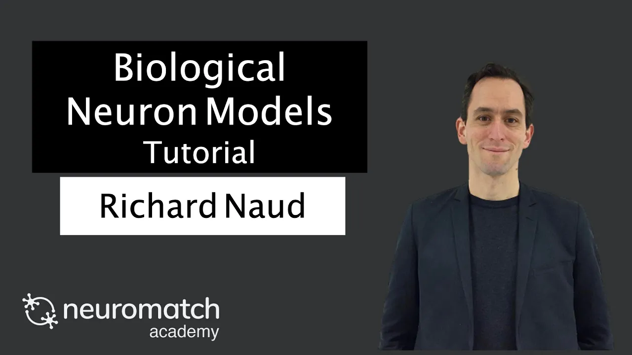Biological Neuron Models Tutorial 4