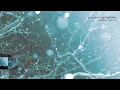 H U V A  NETWORK   Ephemeris   01 Dissolving Time