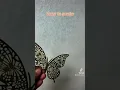 Beautiful 3D butterfly stickers