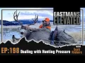 Dealing with Hunting Pressure with Scott Reekers Eastmans Elevated Podcast EP