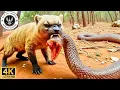 Download Lagu La lutte acharnée pour la survie face aux prédateurs en Tanzanie #Documentaireanimalier