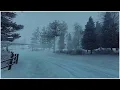 Download Lagu Freezing Blizzard Sounds for Sleeping in the Mountain┇Howling Wind Storm \u0026 Loud Blowing Snow