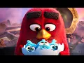 Download Lagu The Angry Birds cutest moments 🌀 4K