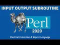 Perl Programming - Input Output Subroutine 2023