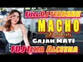 Download Lagu FULL DJ TERBARU ‼️ OT MACHO JIWAKU ‼️ LIVE GAJA MATI ‼️FDJ ICHA ALCEENA ‼️ DJ CINTA