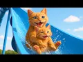 Download Lagu Mama Cat and Kitten Are Going on Vacation to Fulfill Dream Roller Coaster Ride At The Aquapark! 🐾❤️