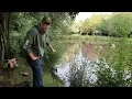 Download Lagu Cara Menangkap Ikan Mas di Kolam Kecil - Memancing Ikan Mas di Inggris (Umpan dan Peralatan)
