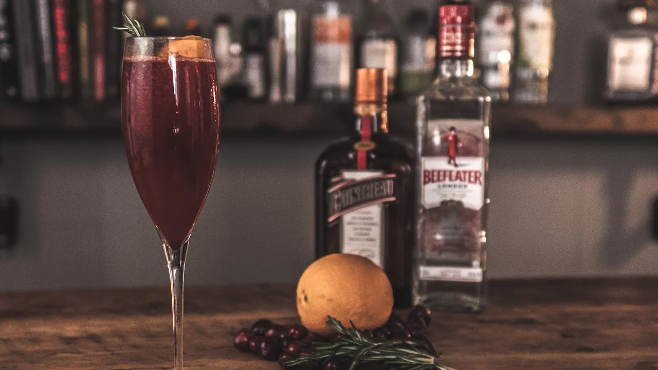 Orange Cranberry Gin Fiz, A Perfect Fall Cocktail