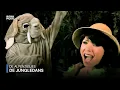 Lagu De Alpenzusjes - De Jungledans