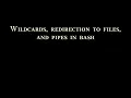 Wildcards redirection to files and pipes in bash