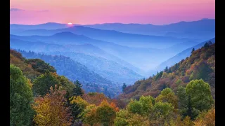 Charlie P Step 3 Austin TX Appalachian Regional Roundup - Kingsport TN 2023