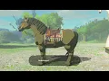 The Legend of Zelda Tears of the Kingdom - Woodland Stable Get Towing Harness Customize Horse