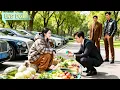 Download Lagu 💓Cinderella lost her memory and wants to divorce the CEO. He panics and woos her back!