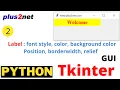 Tkinter Label with font styles color background using fg bg text relief with borderwidth