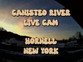 Canisteo River Live Cam - Hornell New York