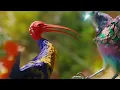Flume feat. KUČKA & Quiet Bison - ESCAPE (Official Music Video)