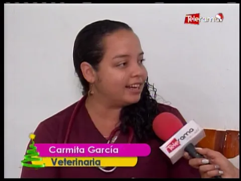 ¿Qué tomar en cuenta al viajar con tu mascota?