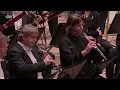 Mahler: Symphony No. 1 D major  "Titan" with Manfred Honeck | NDR Elbphilharmonie Orchestra