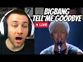 Download Lagu THE VOCALS 🤯🤯 BIGBANG - Tell Me Goodbye - Live Japan Dome Tour X - REACTION
