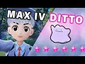 How to get 6 BEST IV Ditto Pokemon Scarlet Violet
