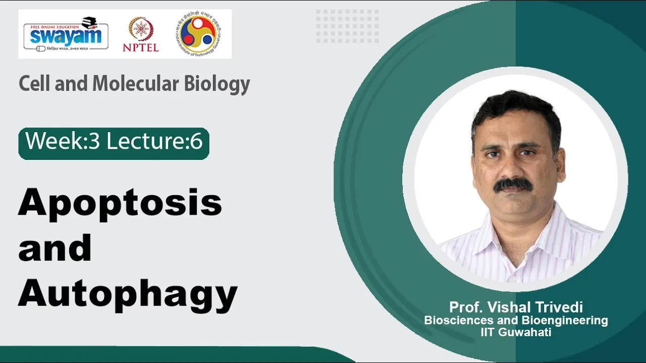 Lec 14: Apoptosis and Autophagy