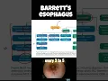 Download Lagu This Acid Reflux Complication Can Turn Deadly 😳 | Barrett’s Esophagus Explained