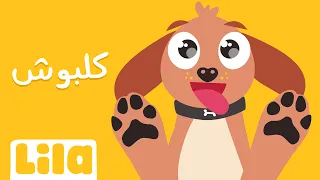                                                      دندنها