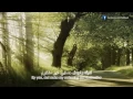 Download Lagu Labbayk - Ya Rabbi Bil Mustafa (Official Video)