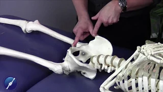 Inquinal Ligament Technique
