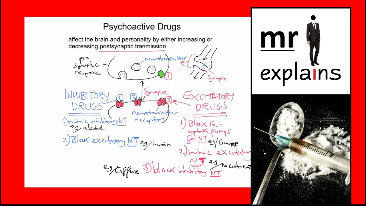 mr i explains: Effects of Psychoactive Drugs on Synaptic Transmission