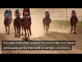Using the Speed Handicapping System to Find Hidden Gems in the Race Card