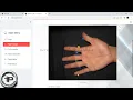 Streamlit Web Application - Palm Print Verification Using Bagging Classifier In PYTHON