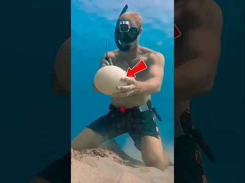 What Happens If You Crack an Egg Underwater