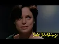 Download Lagu Curtain Call | Silk Stalkings | S1E8