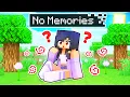 Aphmau Lost All Her MEMORIES In Minecraft