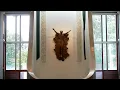 2026 Mass of Christian Burial for Mistianna Holcomb Barnes with ArchBishop Shelton Fabre