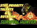 TBC Survival Hunter PvE QUICK Guide Stat Priority Talents and Single Target DPS Rotation