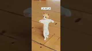 علي علي الحلو اكسبلور Cutebaby Baby Cute Funny الجزائر السعودية العراق المغرب سوريا 