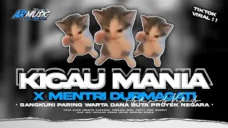 new dj kicau mania x menteri durmagati style party velocity viral tiktok 2k26 ar music 