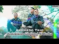 Download Lagu Arghado Trio - Bolokkon Ginjang Ni Roha (Official Music Video) Lagu Batak Terbaru 2023