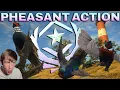 CAN WE SPAWN OUR FIRST GREAT ONE PHEASANT Episode 5 theHunter Call of the Wild
