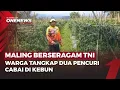 Lagu Heboh! Pencuri Cabai Pakai Seragam TNI Babak Belur Diamuk Massa | OneNews Update