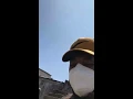 Llegaron los tiburones pero de 10 dolares mi gente
